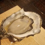 生牡蠣研究所 - 