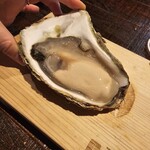 生牡蠣研究所 - 