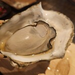 生牡蠣研究所 - 