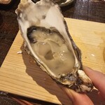 生牡蠣研究所 - 