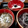 山侊 - おろしそば。