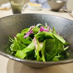 Ｎico - サラダ