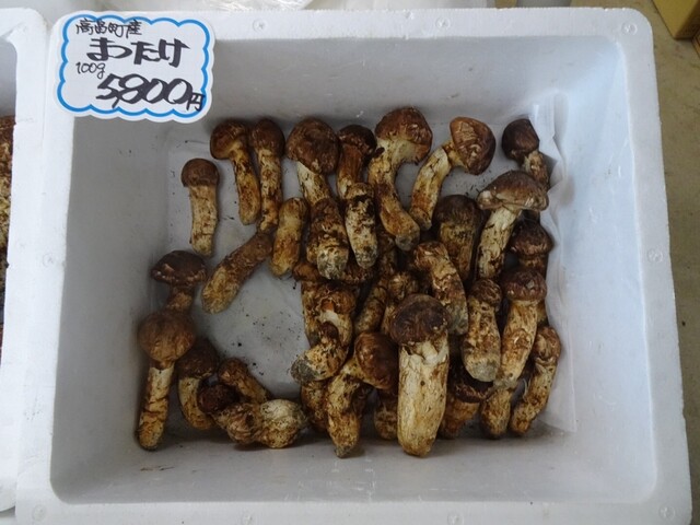 たねや まつたけ館 - 高畠町その他（日本料理）の写真