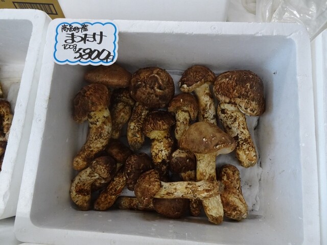 たねや まつたけ館 - 高畠町その他（日本料理）の写真