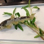 季節の天麩羅　（稚鮎）