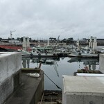 伊吹いりこセンター - 