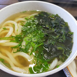 かばと製麺所 - かけうどん