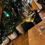 つるとんたん UDON NOODLE Brasserie - 