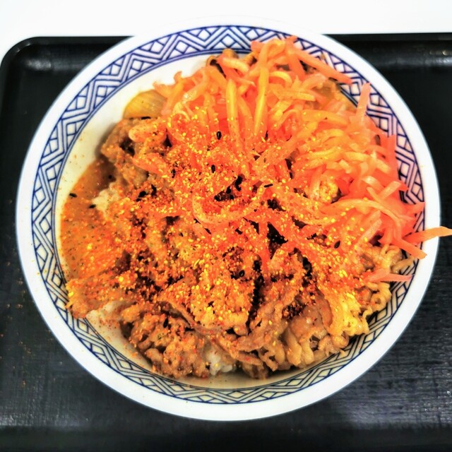 Yoshinoya Jr Ibaraki Ekimae Ten photo 3