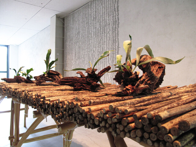 VADE MECVM. Showroom #2 photo 4