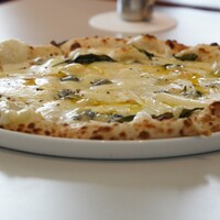 CODA ROSSA -  CODA ROSSA -