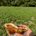 清水製パン - ビーフカレーチェダーチーズ入り　310円　カレードーナツ　280円