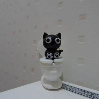 猫カフェ ねこ会議_2