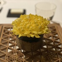 ガーデンレストラン徳川園 - 