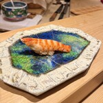 鮨 一二郎 - 車海老。小ぶりですが旨みがギュッ。