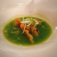 トラットリア ゴデレッチョ エビス 恵比寿 - 