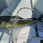 惣助 - シイラ140センチぐらい