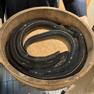 銀座 四代目 高橋屋_1