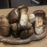 きたしんち 弓場慎之佑 - 