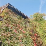 ミネルバ茶房 - 