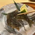 銀座 しのはら - 郡上八幡　子持ち鮎　カボス