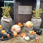 Nicolai Bergmann NOMU aoyama - 