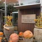 Nicolai Bergmann NOMU - 