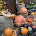 Nicolai Bergmann NOMU aoyama - 