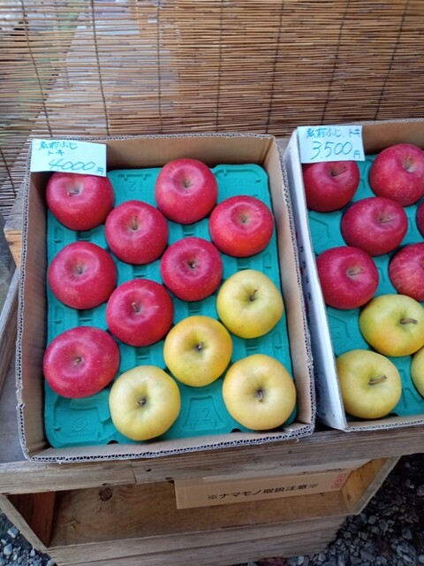 三国農園 - 中央弘前（その他）の写真