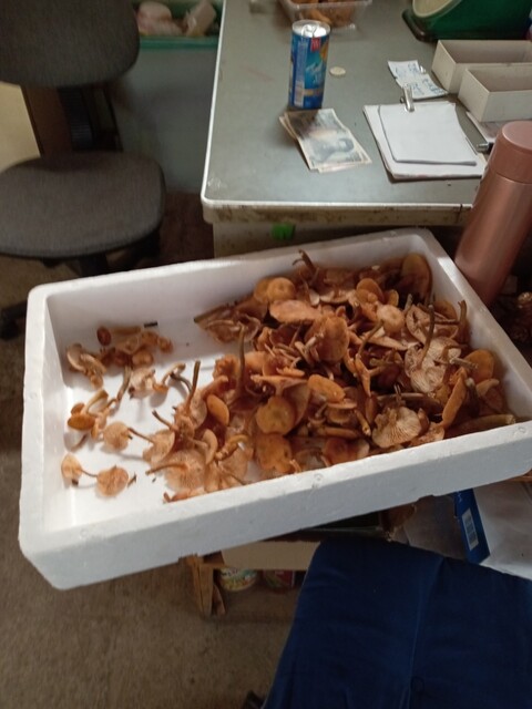 三国農園 - 中央弘前（その他）の写真