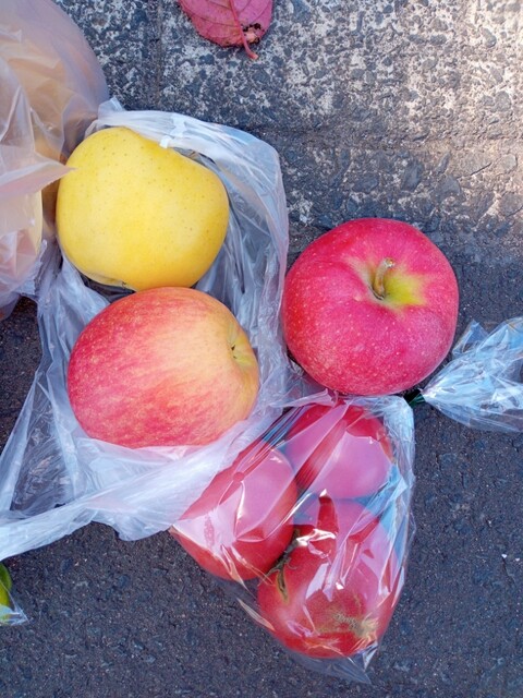 三国農園 - 中央弘前（その他）の写真