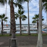 リストランテAO 逗子マリーナ - アメリカの西海岸みたいな景色（に、見えなくもない笑）