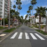 リストランテAO 逗子マリーナ - 逗子マリーナの敷地内でパシャリ。この風景も、絵になりますよねぇ。