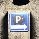 やんばるダイニング　松の古民家 - 駐車場へ誘導も豚さん