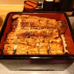 鰻 むさし乃 - 新仔鰻重のアップ