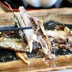 はかな - ウマーベラス！！