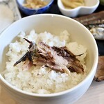 はかな - ウマーベラス！！