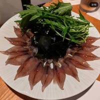 シーズン - 