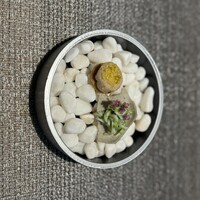 しまなみふれんち Murakami - 