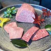 USHIGORO S. SHINJUKU - 