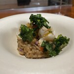 馳走西健一 - ◎伊勢海老のプイヤベースリゾット、裏濾し伊勢海老味噌掛け、揚げケール添え