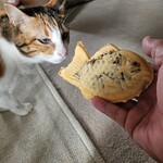 銀のあん イオンモール大和郡山店 - 