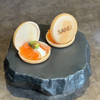 SANU_1