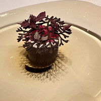 Restaurant Bellustar - 