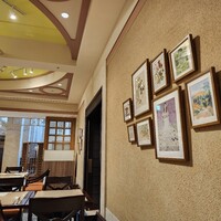 カシュカシュ -  カシュカシュ -