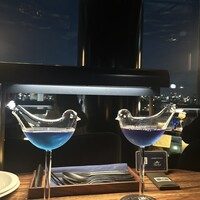 渋谷 Blue bird - 
