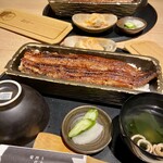 うなぎ四代目菊川 - うなぎ四代目菊川 一本重　　5,600円