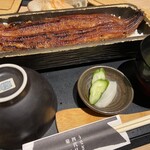 うなぎ四代目菊川 - うなぎ四代目菊川 一本重　　