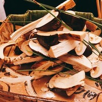 本湖月 -  本湖月 -