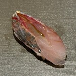 千葉たかおか - 